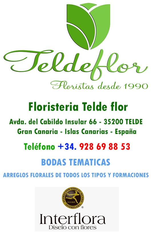 logo Tarjeta Floristeria Telde Flor servicio Interflora flores por todo el mundo